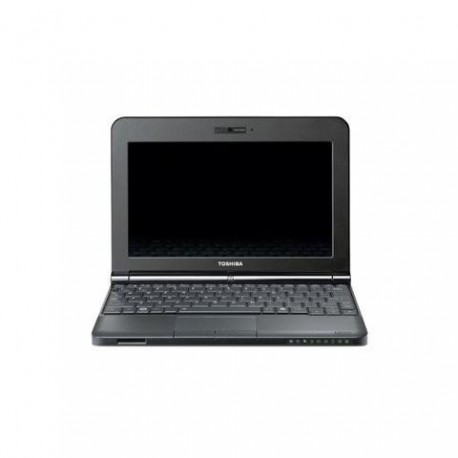 Netbook Toshiba - NB250-10Q PLL2PE-009006CE, Black